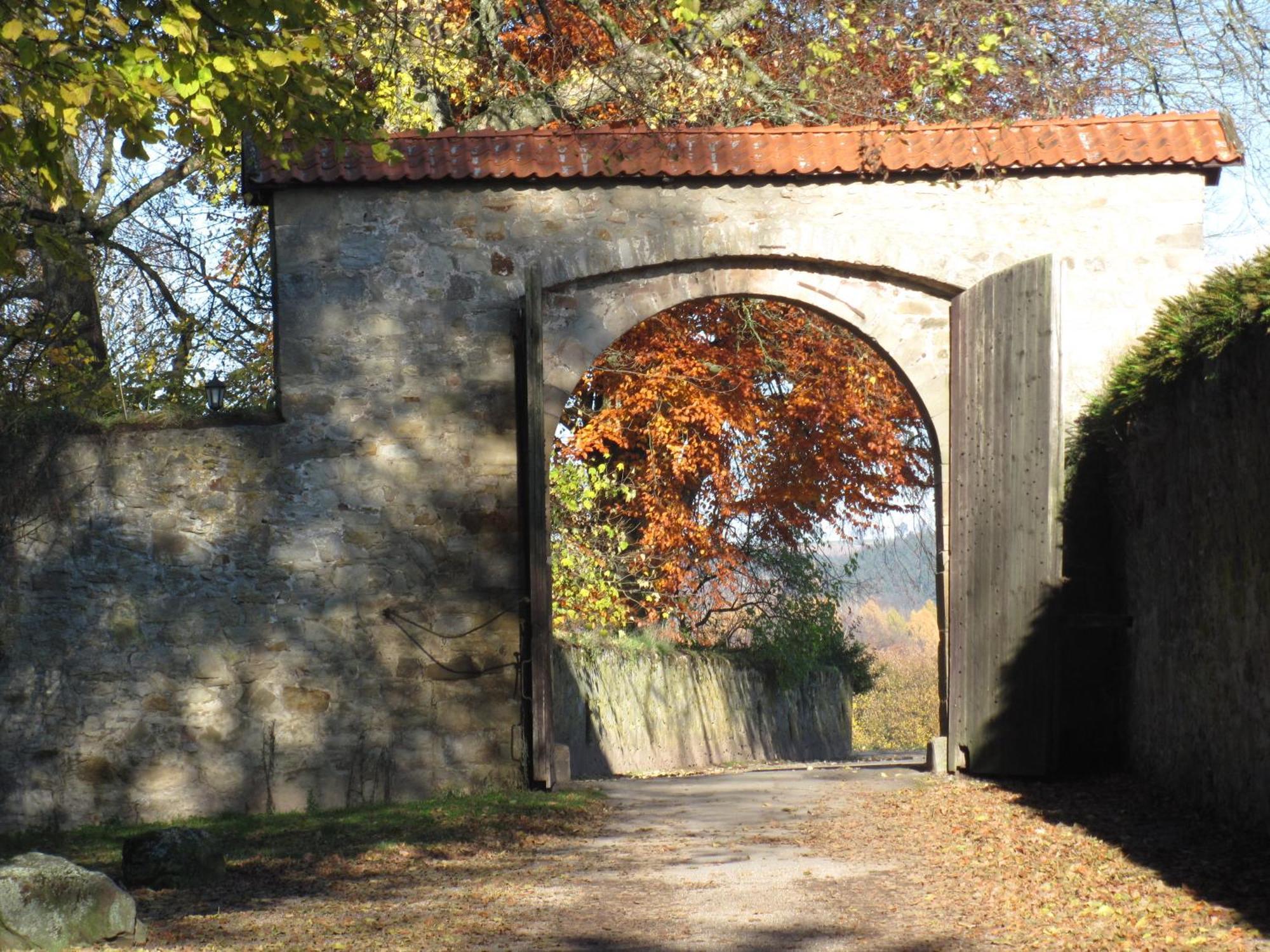 Hotel-Cafe "Schauinsland" Horn-Bad Meinberg Exteriör bild