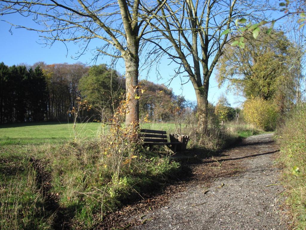 Hotel-Cafe "Schauinsland" Horn-Bad Meinberg Exteriör bild